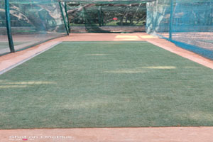 astro turf
